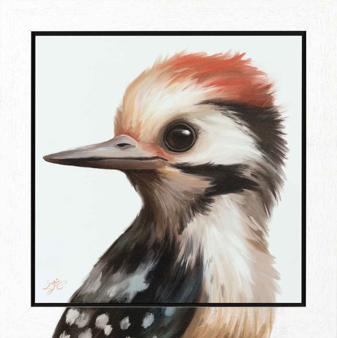 Life In The Woods - Series 1