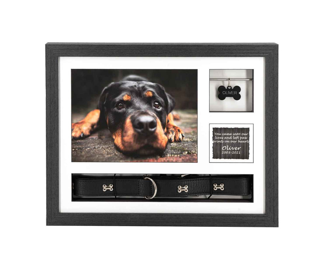 Collar & Tag Urn